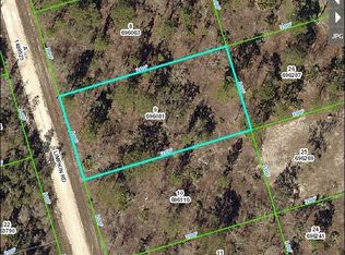 11348 Limpkin Rd, Brooksville, FL 34614