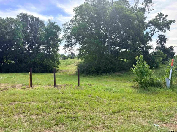 8 5.5 Acrescounty Rd #2166, Troup, TX 75789
