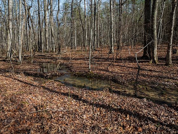 5th image of 6 Forest View Dr