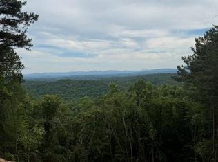 LOT 30 Lookout Dr, Blue Ridge, GA 30513