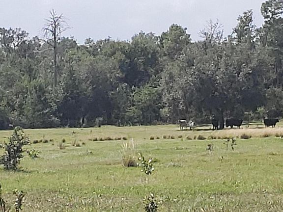 2nd image of 0 COUNTY ROAD 308
