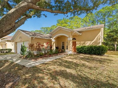 1727 Bayhill Dr, Oldsmar, FL, 34677