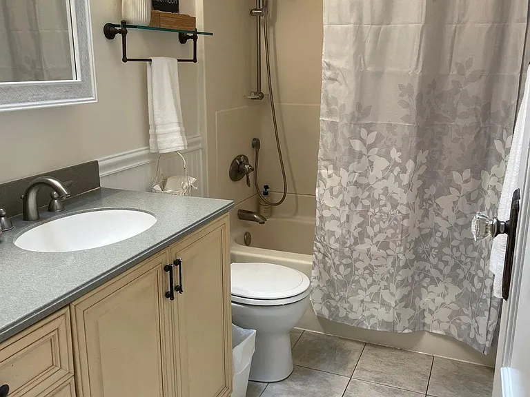 Master bath with high end faucets and features including skylight