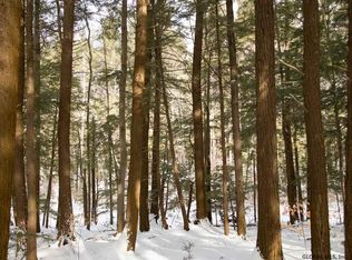 Crosby Rd, Root, NY 12166