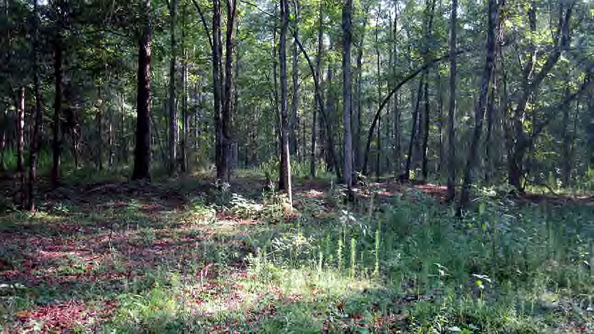1st image of Dry Creek Trl SW