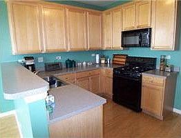 Kitchen area (42" hardwood cabs)