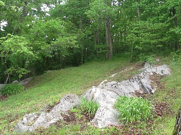 side lawn and acreage