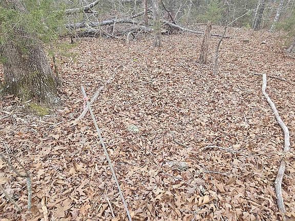 3rd image of 002-08164-000 County Road 146