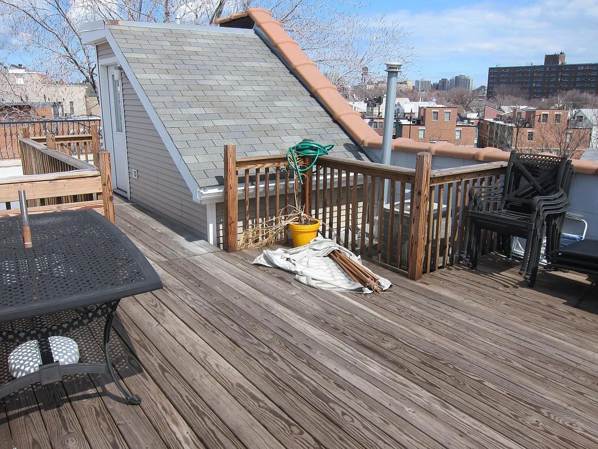 roof deck - 1123 W Schubert Ave #3