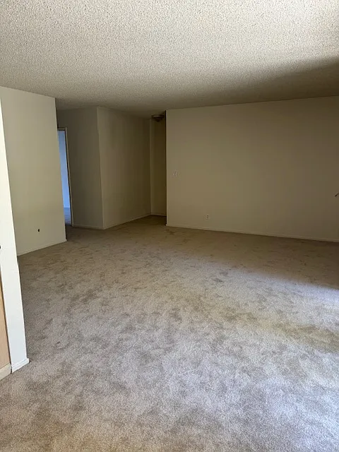 2 bed, 884 sqft, $3,000 — Photo 4