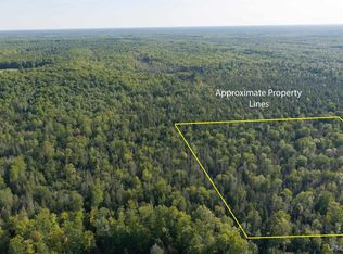 Diffin Rd #B, Trenary, MI 49891