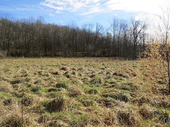 5th image of 0 Minor Hill Hwy