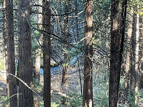 5th image of 369 Canyon View Dr