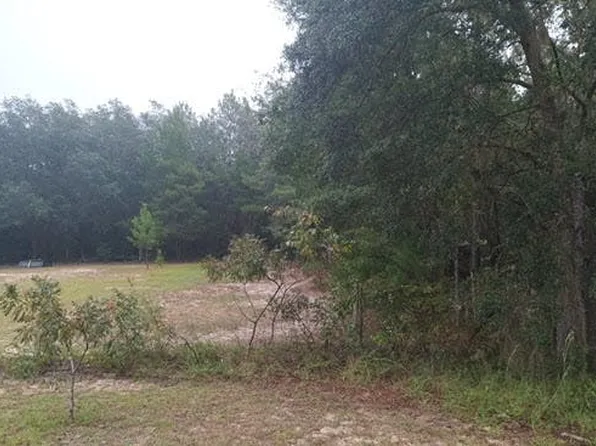 312 Wilson Dr, Interlachen, FL 32148