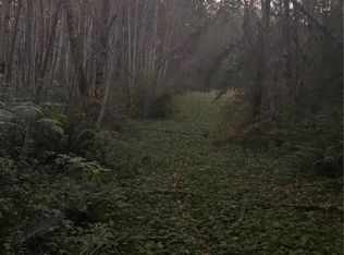 142 E Leffler Loop Rd, Grapeview, WA 98546