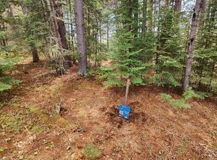 80064 Osprey Pass, Tower, MN 55790