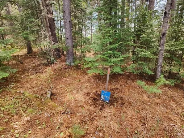 80064 Osprey Pass, Tower, MN 55790