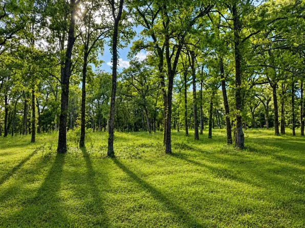 County Road 1503, Pt, TX 75472
