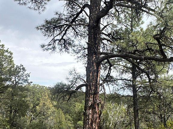 4th image of Highway To Heaven Rd