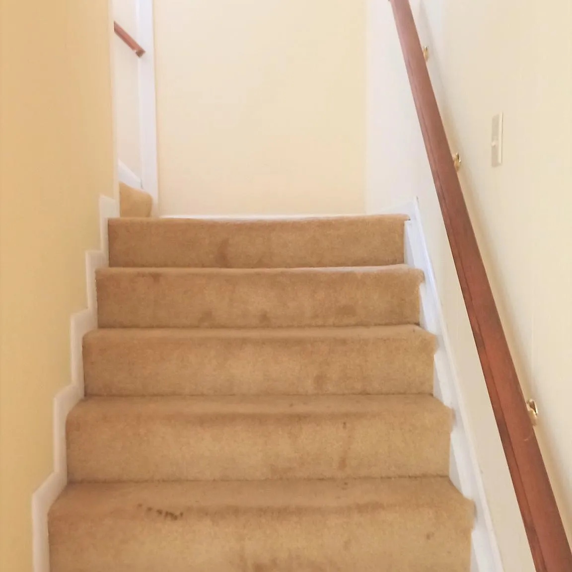 2302 Whitehall Ave — Photo 4