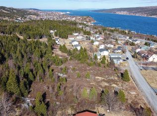 30 Glover Rd #26, Harbour Grace, NL A0A3P0