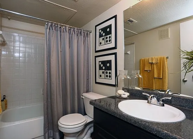 10611 Morado Cir #3505 — Photo 4