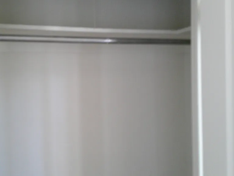 1132 S Roosevelt St #1 — Photo 21