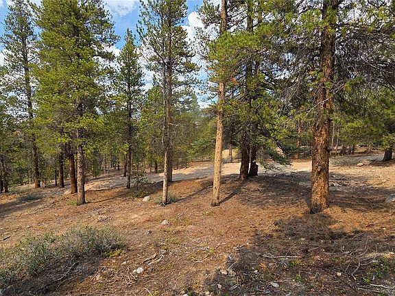 5th image of 67 Lodgepole Drive LOT 45