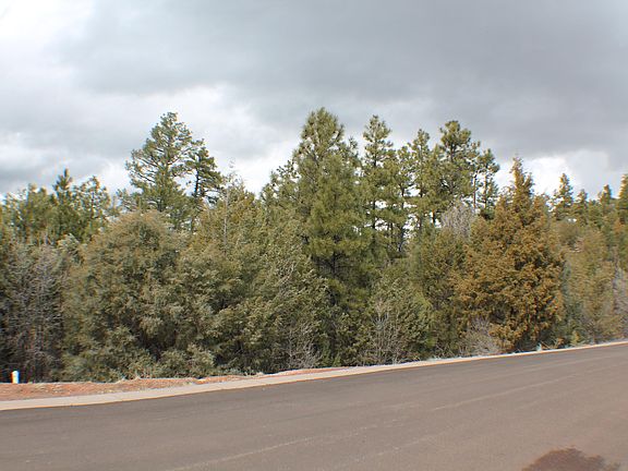 2nd image of 4650 S Manzanita Way