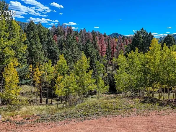 136 Gold Crown Cir, Cripple Creek, CO 80813