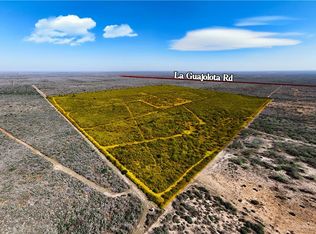 315 Guajolote Ranch Rd, San Isidro, TX 78588