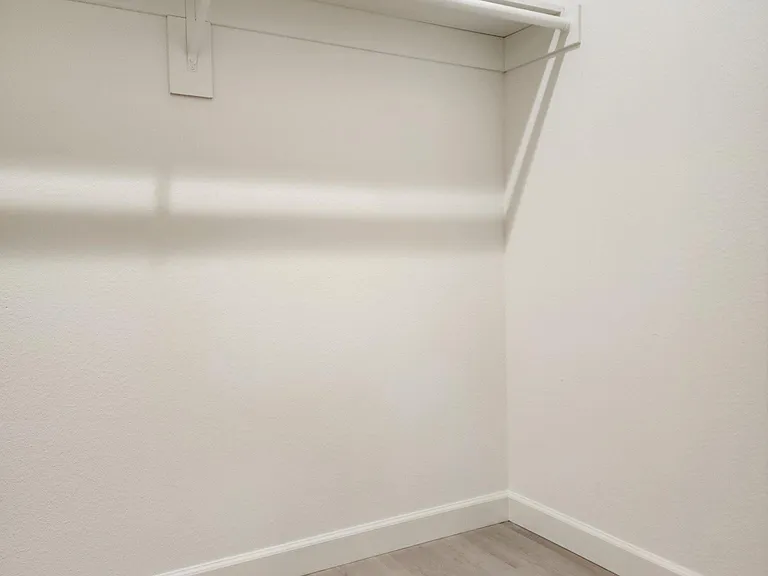 Primary Walk-in Closet