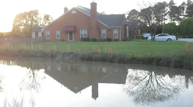 515 Open Greens Ct