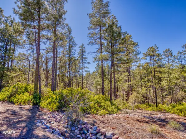2170 S Pleasant View Dr, Show Low, AZ 85901