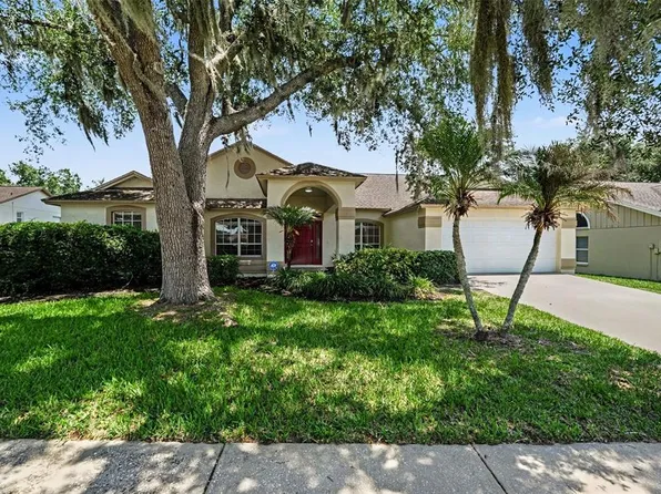 2909 Starmount Dr, Valrico, FL 33596