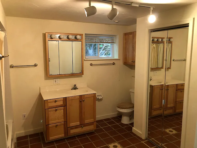 Guest suite vanity, toilet, and closet