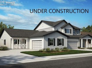 317 Felicity Loop, Castle Rock, CO 80109