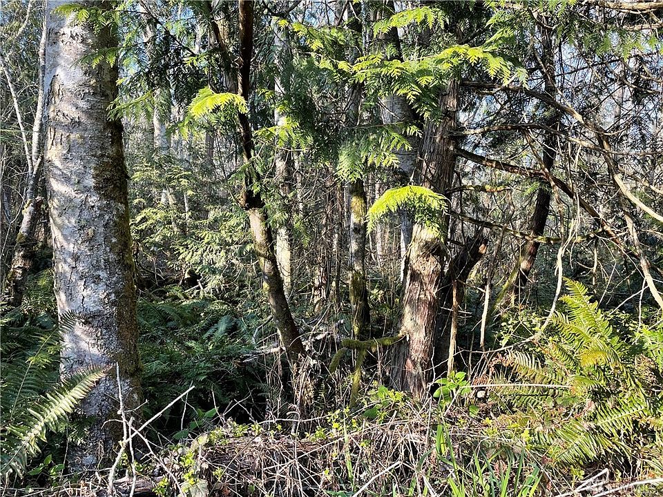 5+ acres of mature forest located mid island.
