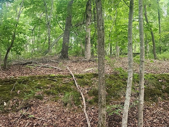 5th image of Id19 Shady Grove Rd