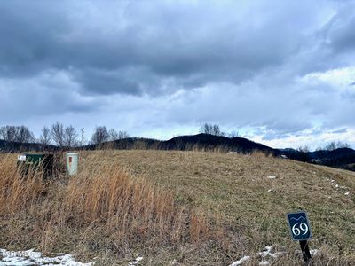 Maple Wood Dr, Butler, TN, 37640