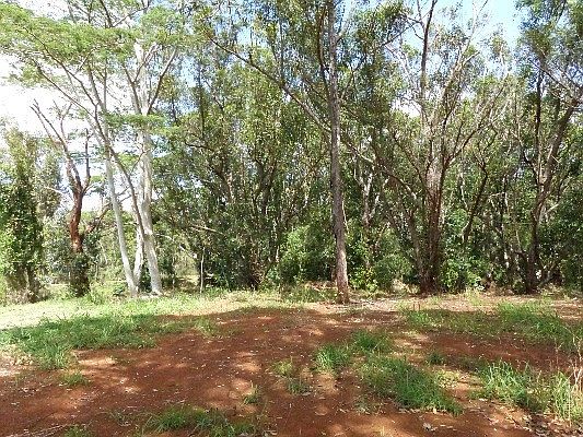 2nd image of Ahopueo Dr Lot 15