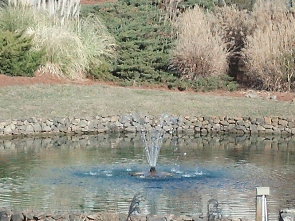 view from side window