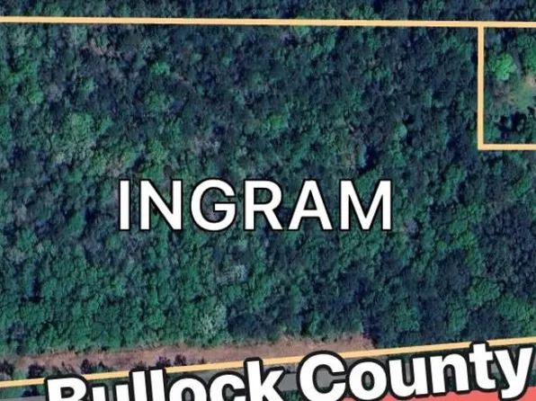 0 County Road 2, Banks, AL 36005