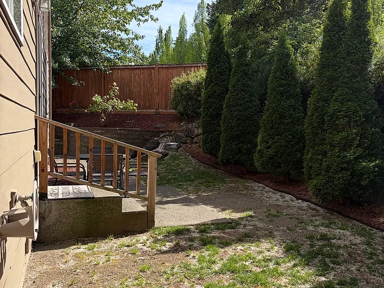 backyard