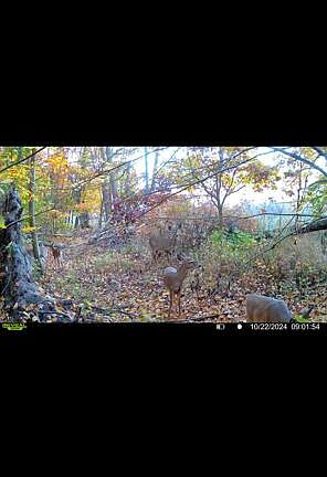 5th image of 7700 W Van Buren St