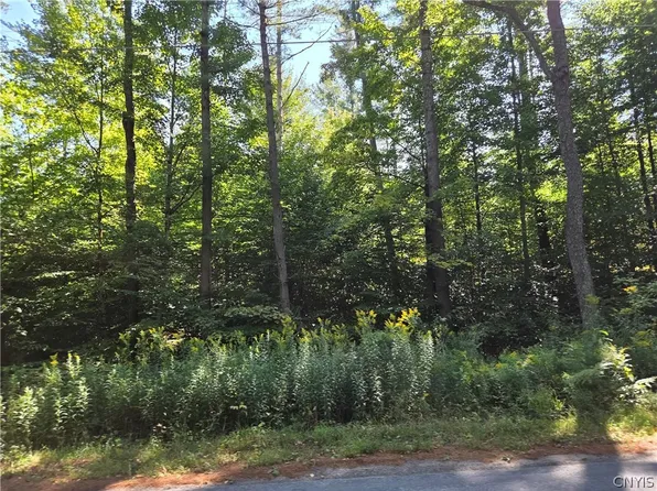 5566 Partridgeville Rd Lot 8, Greig, NY 13345