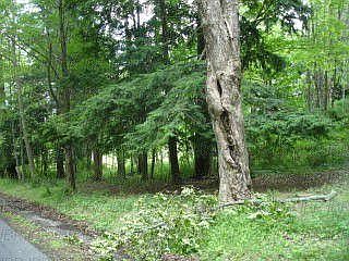 2nd image of 2 Camp St