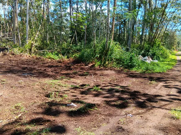 Plumeria Rd Lot 174, Pahoa, HI 96778