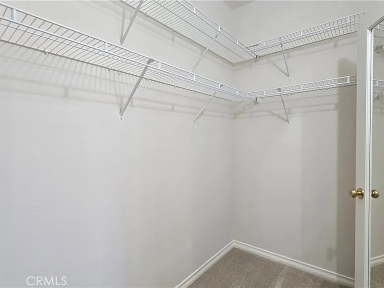 29 Carnation — Photo 25