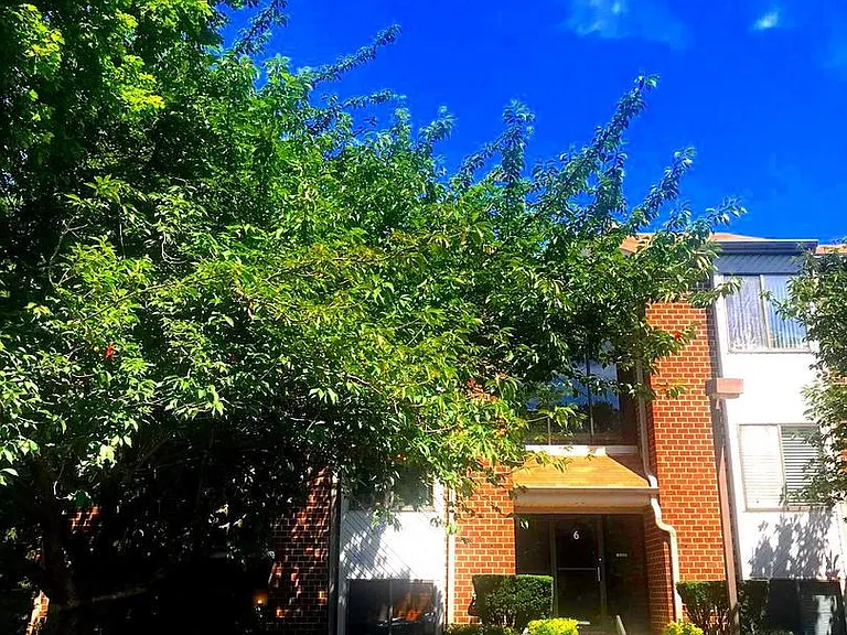 6 Mullingar Ct #301 — Photo 4